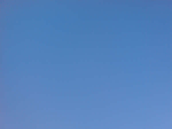Im Schnee