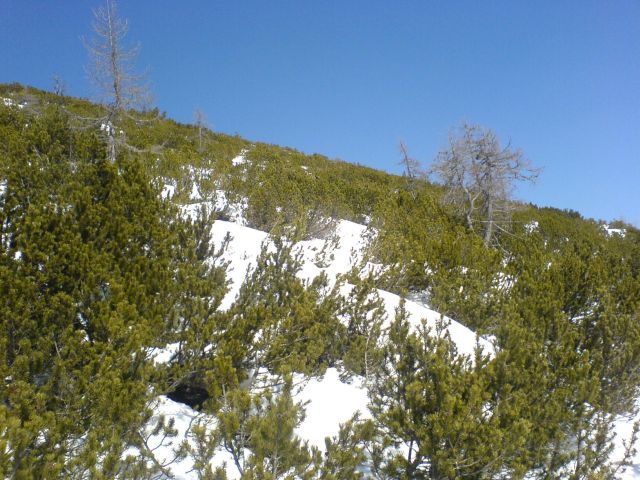 Ski Fahren